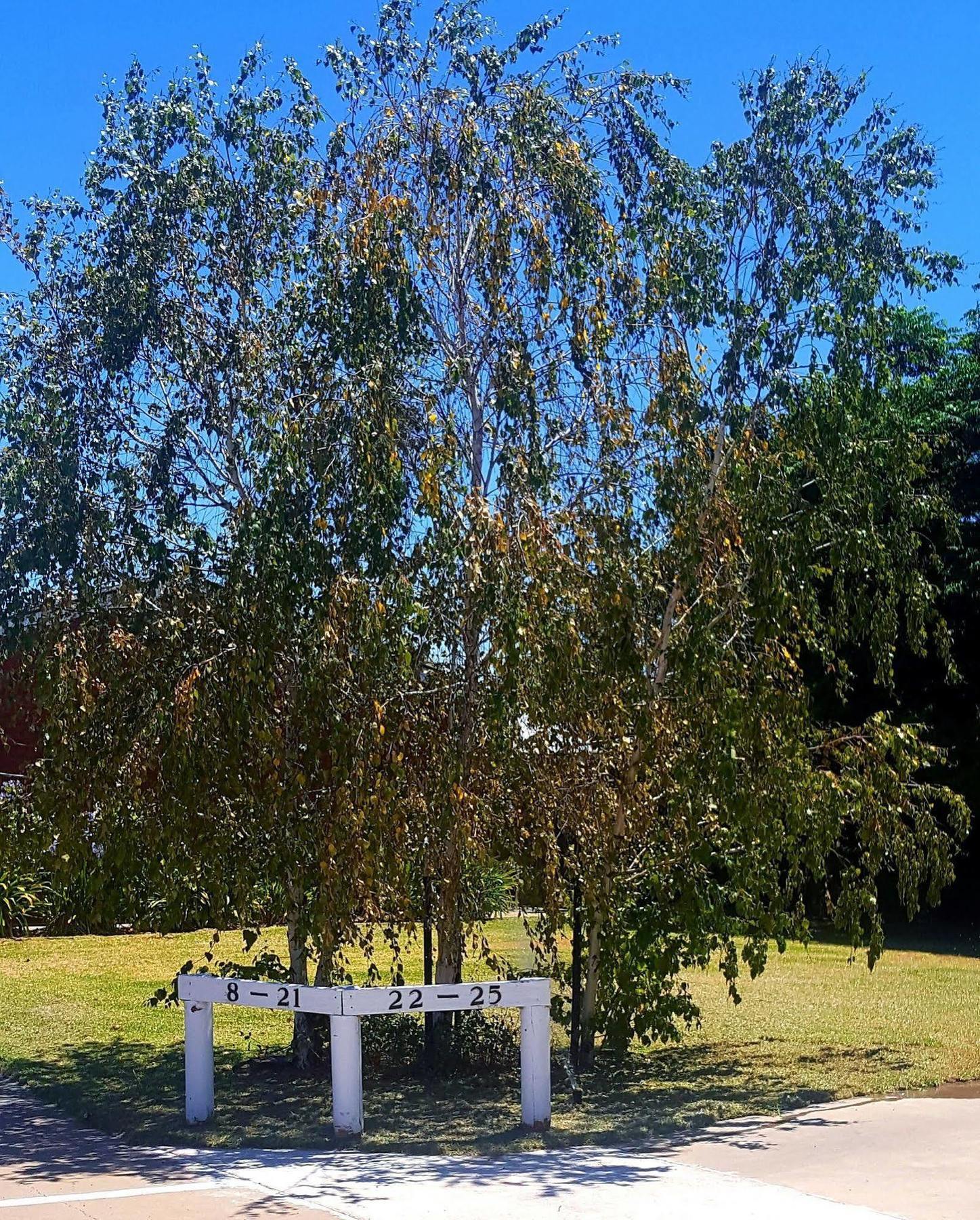 Centrepoint Motel Deniliquin Exteriör bild